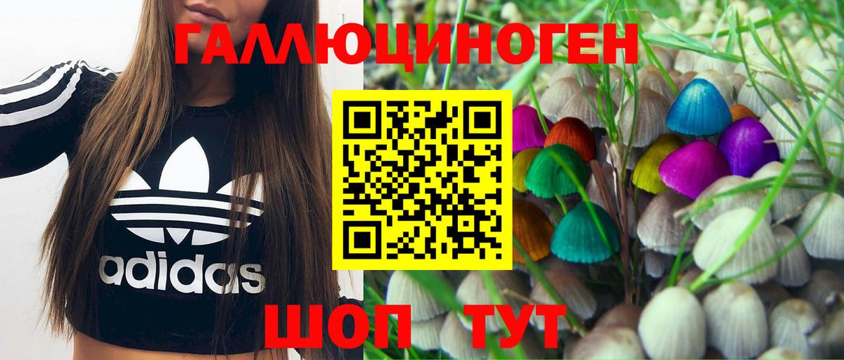 А ПВП СК   Мефедрон кристаллы  Алексеевка  Вход с VPN  Cocaine  Купить  ГАШИШ  Гашиш 