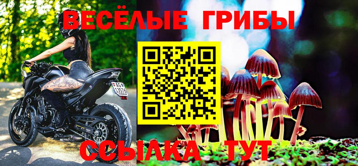 ГАШ Алексеевка