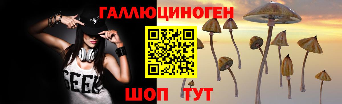 Псилоцибиновые грибы мицелий Алексеевка