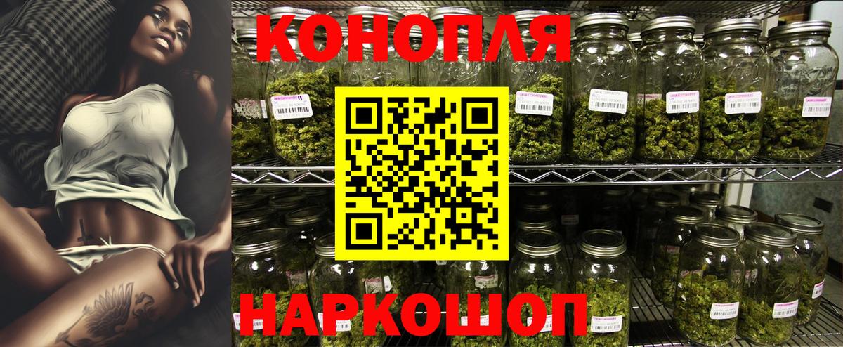 Каннабис сатива Алексеевка